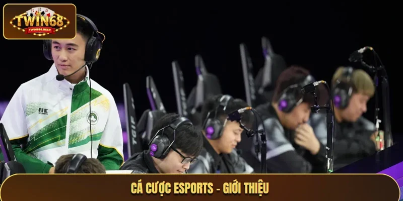 Cá cược Esports - giới thiệu