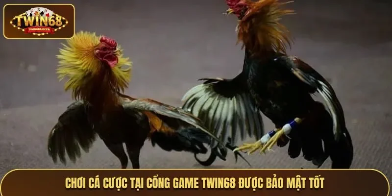 Chơi cá cược tại nhà cái được bảo mật tốt, an toàn cao