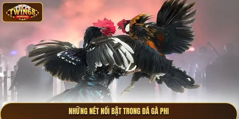 Những nét nổi bật trong đá gà Phi